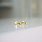 Arracades Diamantet